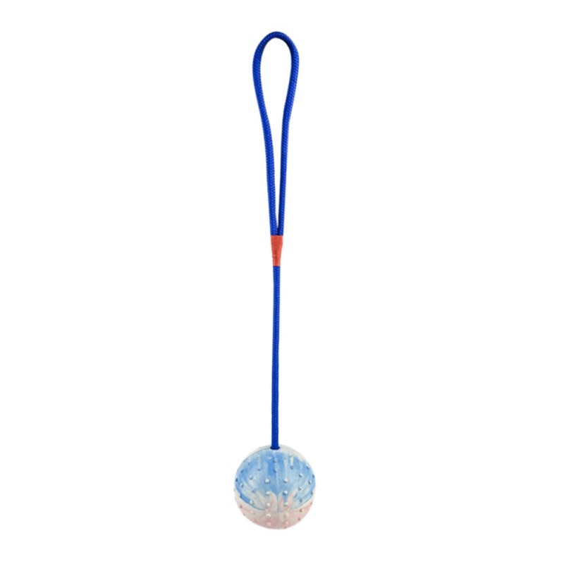 Dog Training Ball on Rope for Interactive Fetch Play