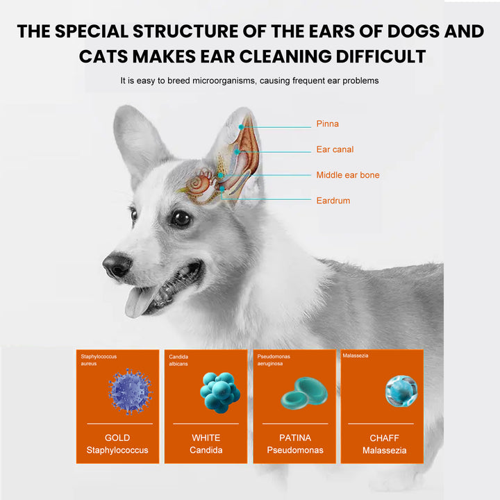 Pet Ear Wipes for Dogs & Cats | Easy Ear Cleaning