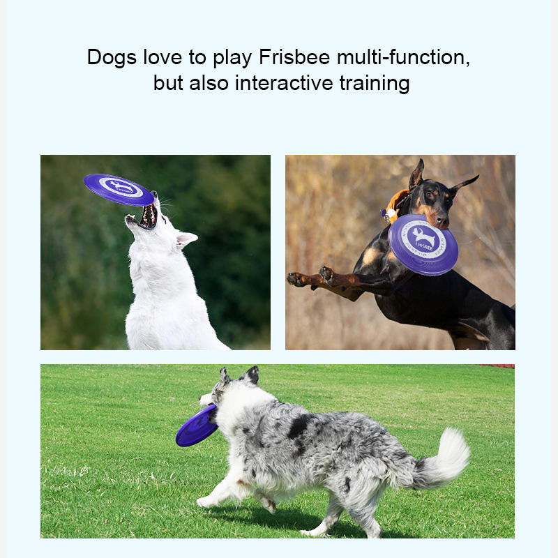 Professional Dog Frisbee for Stable Outdoor Fetch