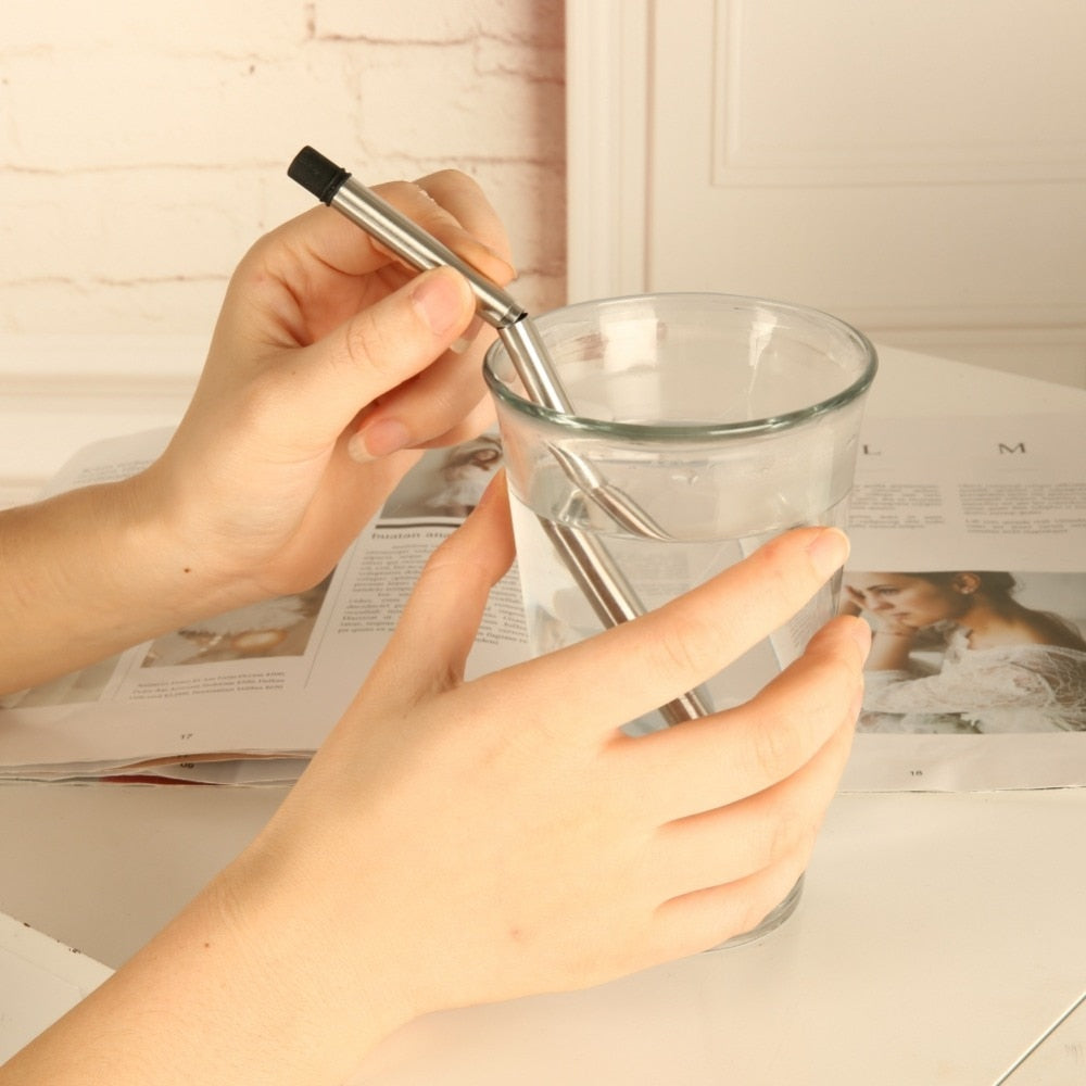 Foldable Reusable Stainless Steel Straw With Carry Case
