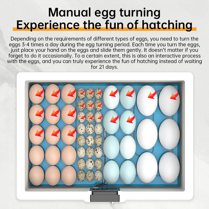 Small Poultry Egg Incubator With Smart Temperature Control