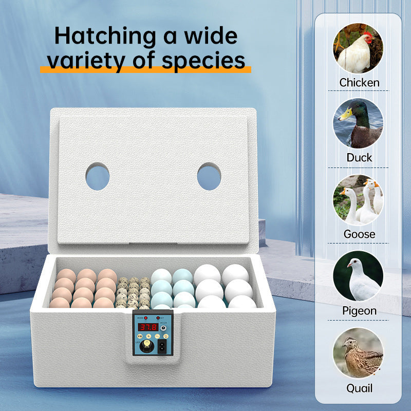Small Poultry Egg Incubator With Smart Temperature Control