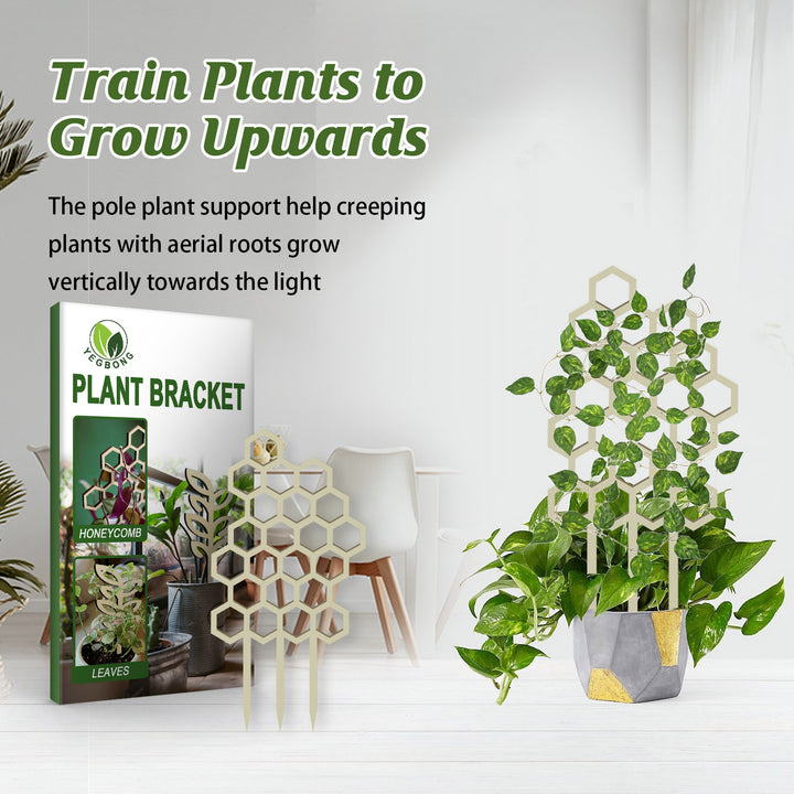 Wooden Plant Trellis Set for Climbing Plant Support