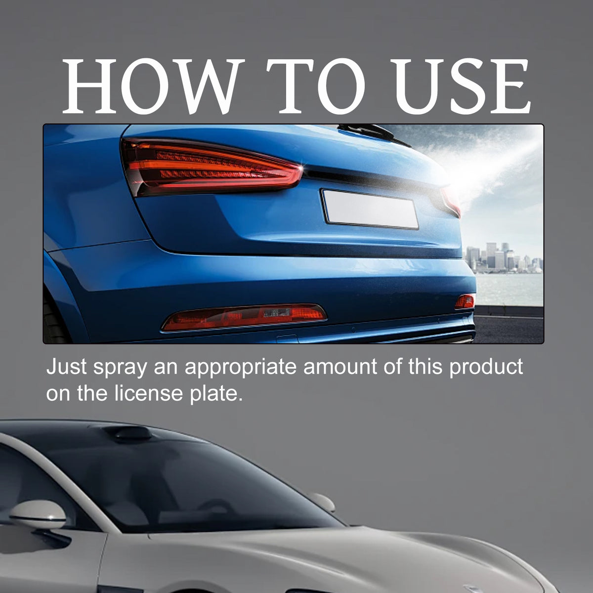 License Plate Spray — All-Weather Privacy Coating