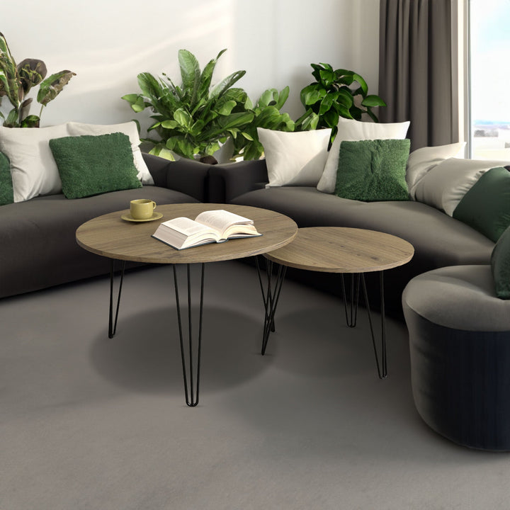 Round Nesting Coffee Table Set of 2 for Living Room