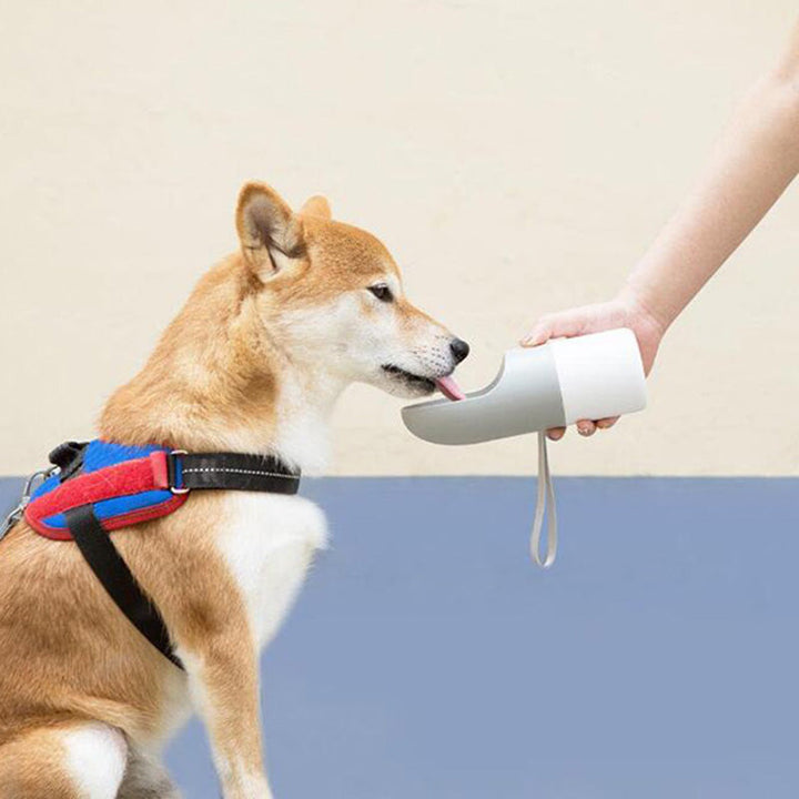 270ml Pet Water Bottle With Bowl for Walks & Travel