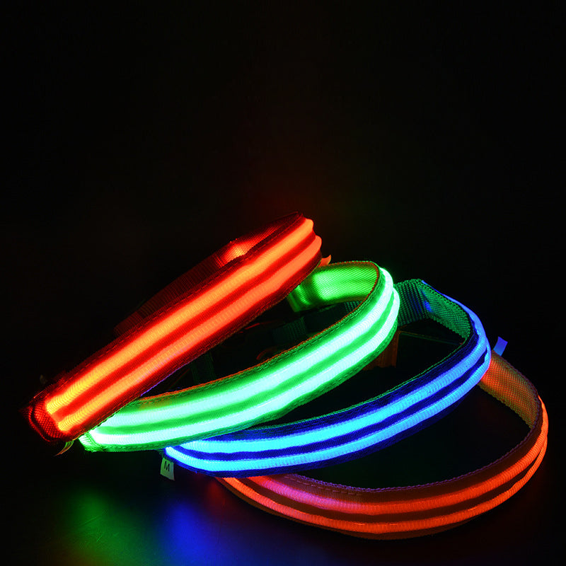 LED Dog Collar for Night Walks, USB Rechargeable Safety