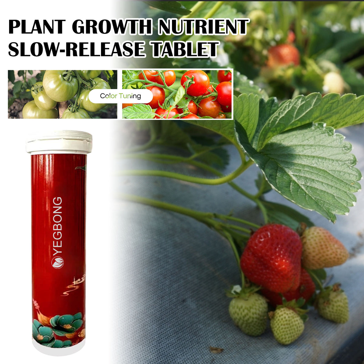 Plant Fertilizer Tablets for Healthier Leaves and Growth