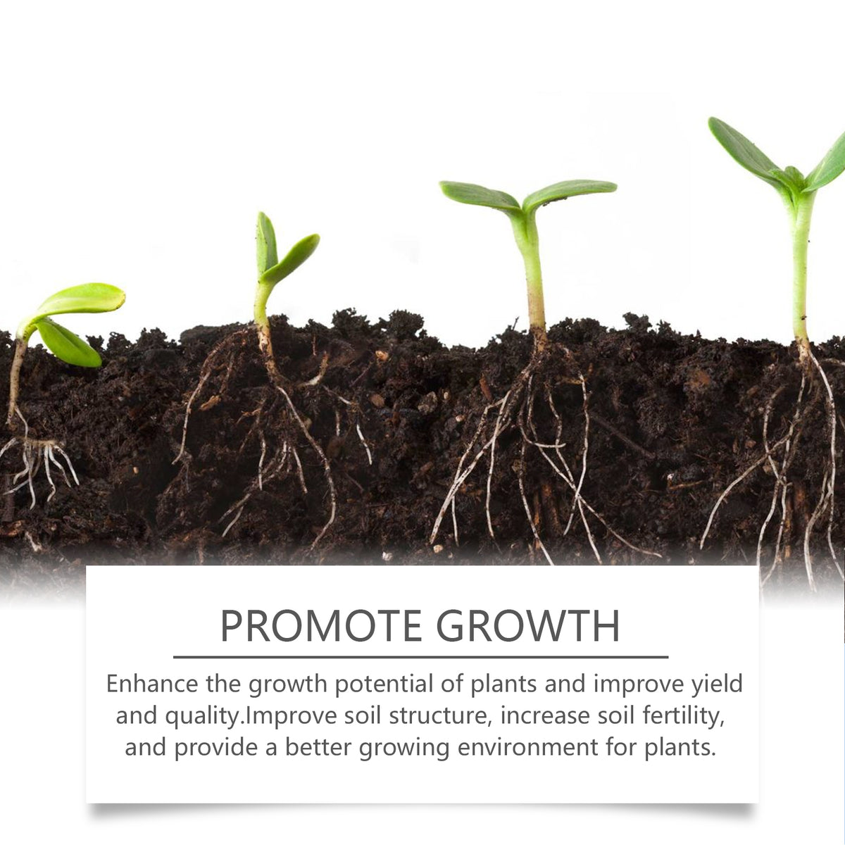 Plant Root Powder for Healthier Soil & Stronger Roots