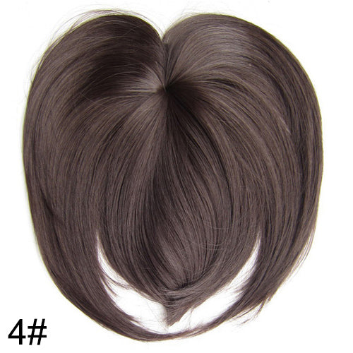 Clip In Bangs Synthetic — Blunt Fringe Hairpiece in 9+