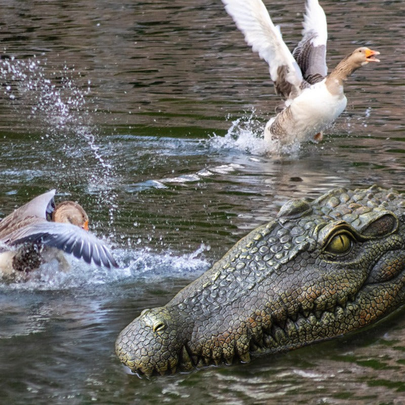 Floating Crocodile Head Pond Decoy Deters Ducks & Geese