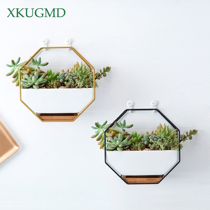 Octagonal Wall Planter with Bamboo Tray for Succulents