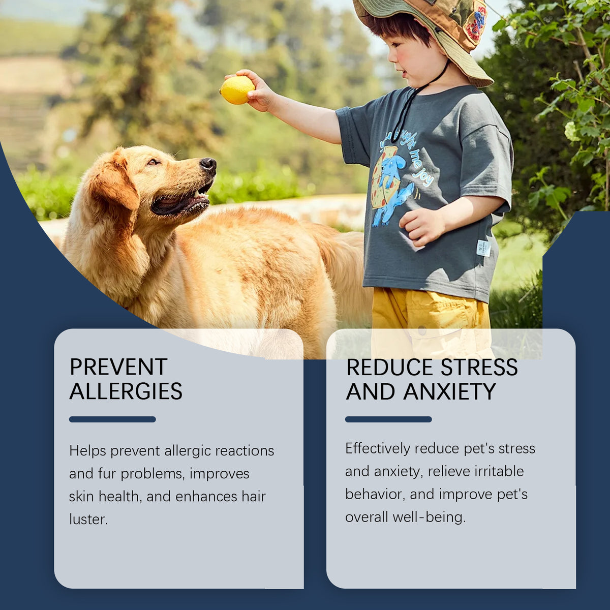 Dog Immune Support Supplement With Natural Daily Care