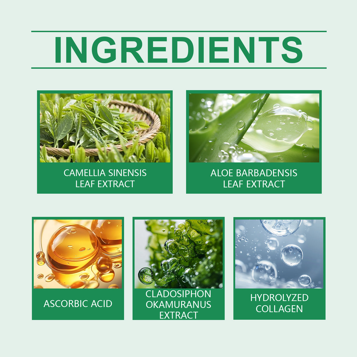 Green Tea Solid Mask Cleanser - Brightening & Gentle