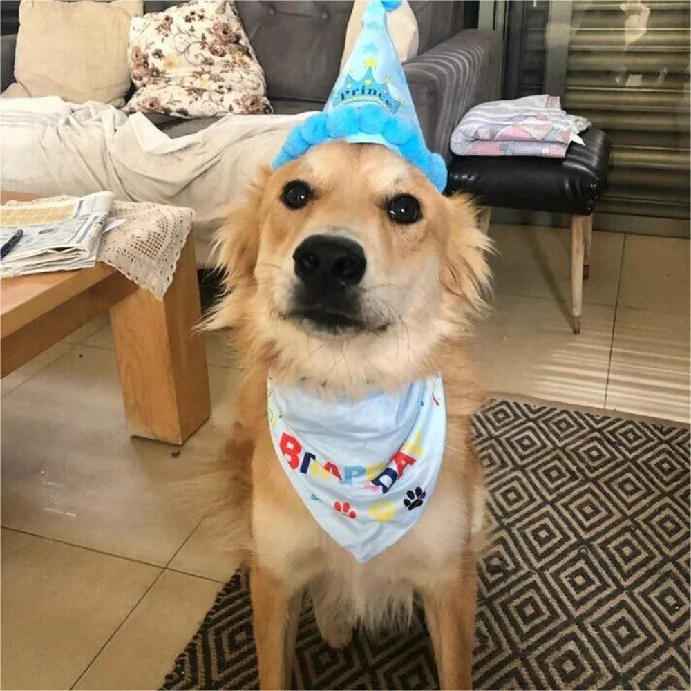 Dog Birthday Hat & Bandana Set for Photo-Ready Pets