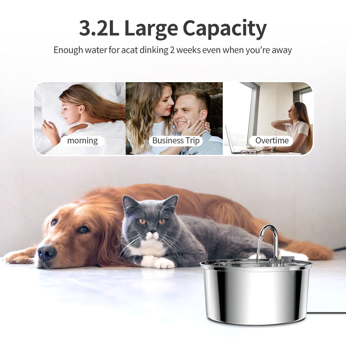 Stainless Steel Pet Water Fountain, Filtered Hydration