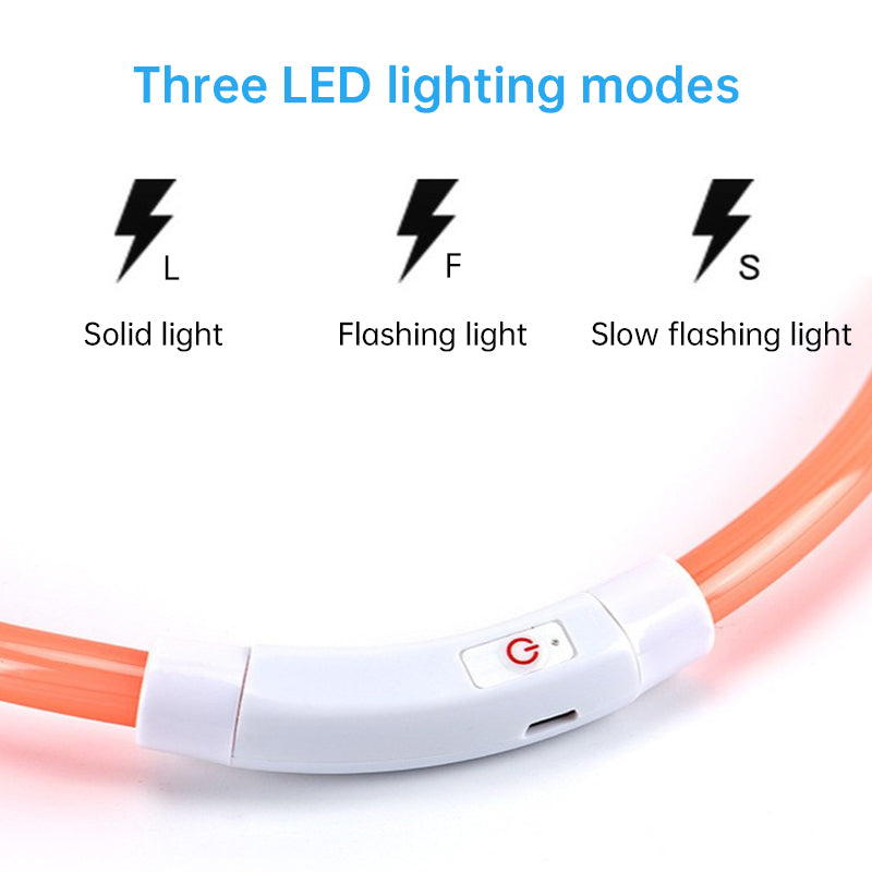 Rechargeable LED Dog Collar for Nighttime Visibility