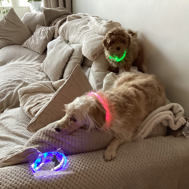 Rechargeable LED Dog Collar for Nighttime Visibility