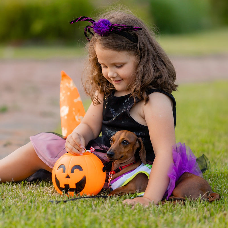 Halloween Pumpkin Buckets for Trick-or-Treating Set