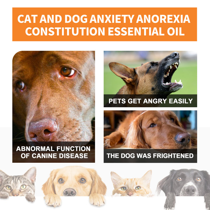 Cat & Dog Calming Oil Supplement for Stress Relief