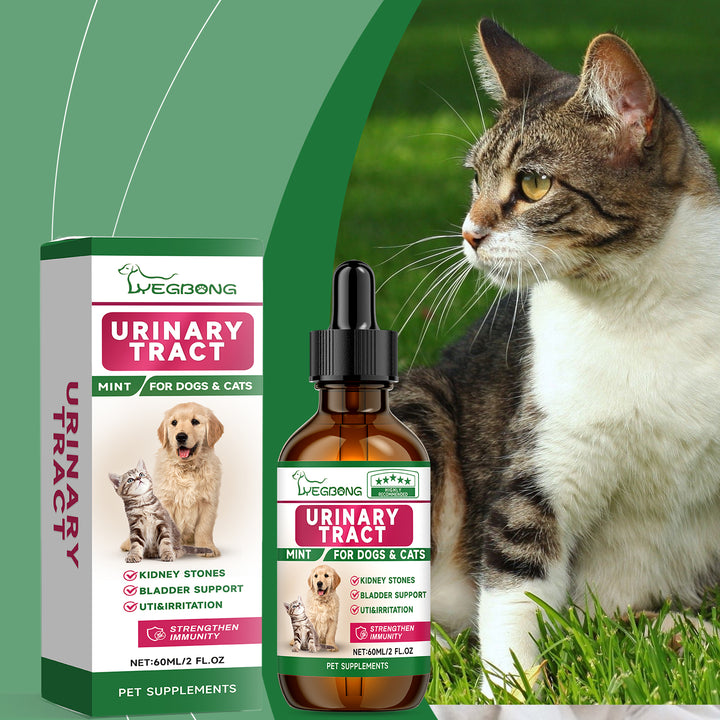 Daily Pet Urinary Support Liquid Supplement for Dogs & Cats