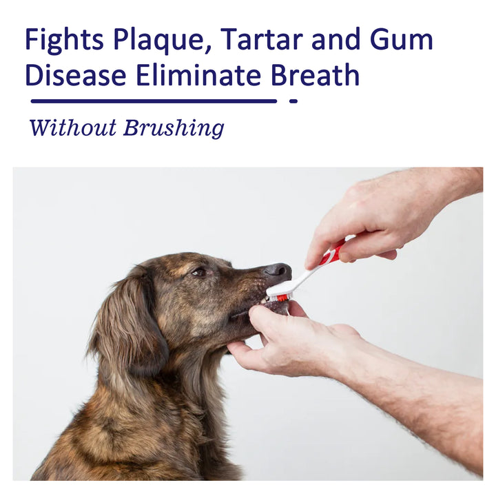 Pet Toothpaste Cream for Cleaner Teeth & Fresh Breath