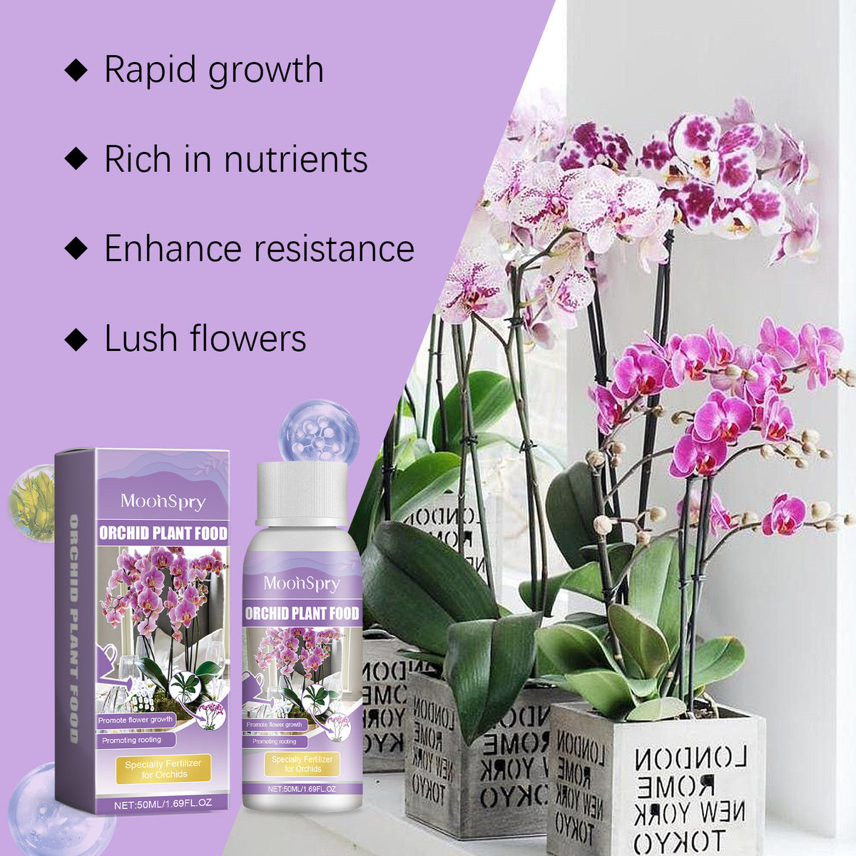 Orchid Fertilizer for Brighter Blooms & Strong Roots