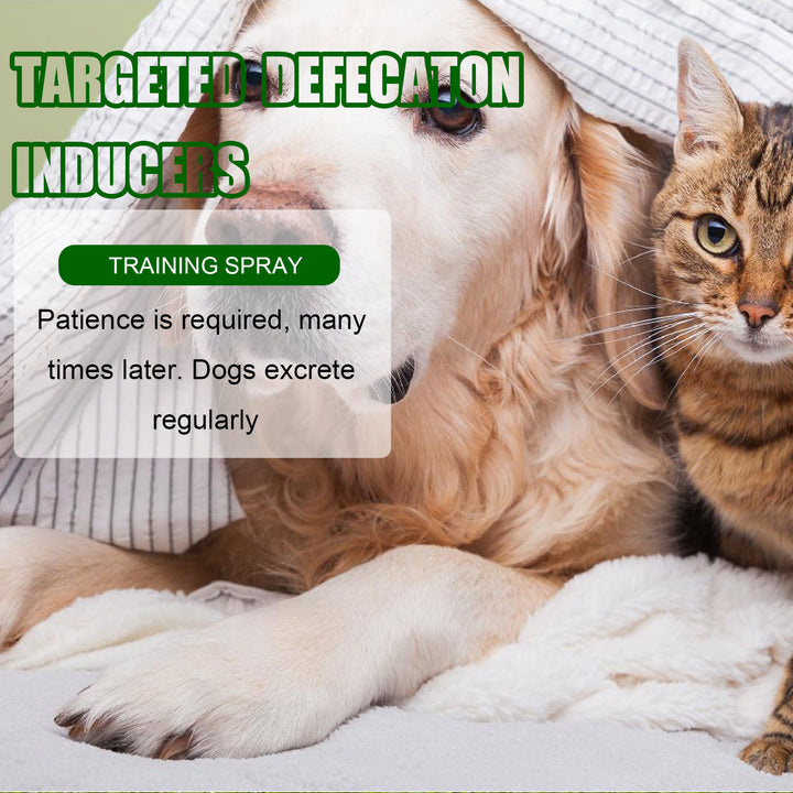 Pet Potty Training Spray | Guide Dogs & Cats to Spot