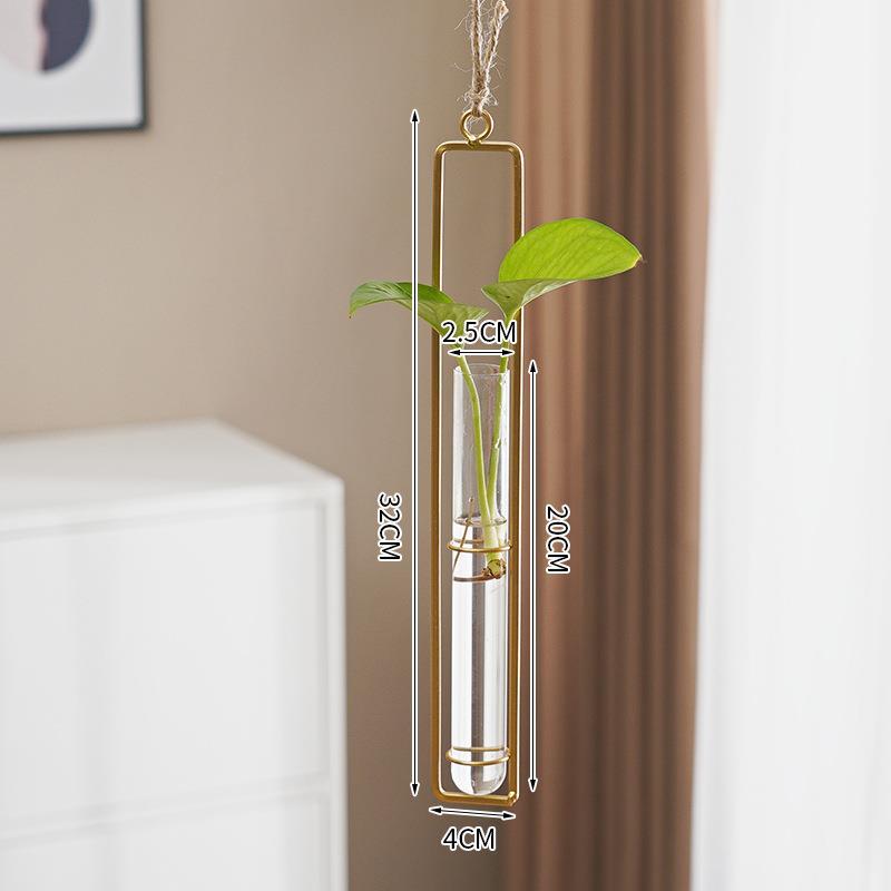 Glass Hydroponic Vase for Stylish Wall Plant Display