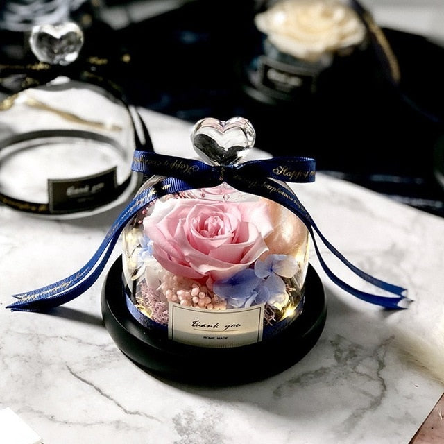 Preserved Rose Dome Gift With Warm Illuminated Lights