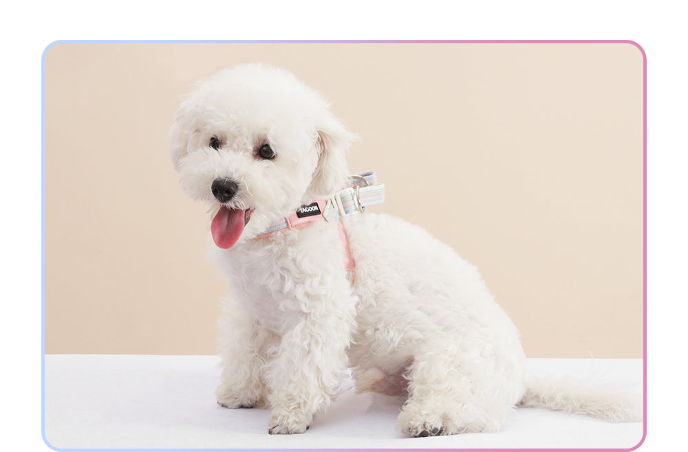 Dog Vest Harness for Comfortable Secure Everyday Walks