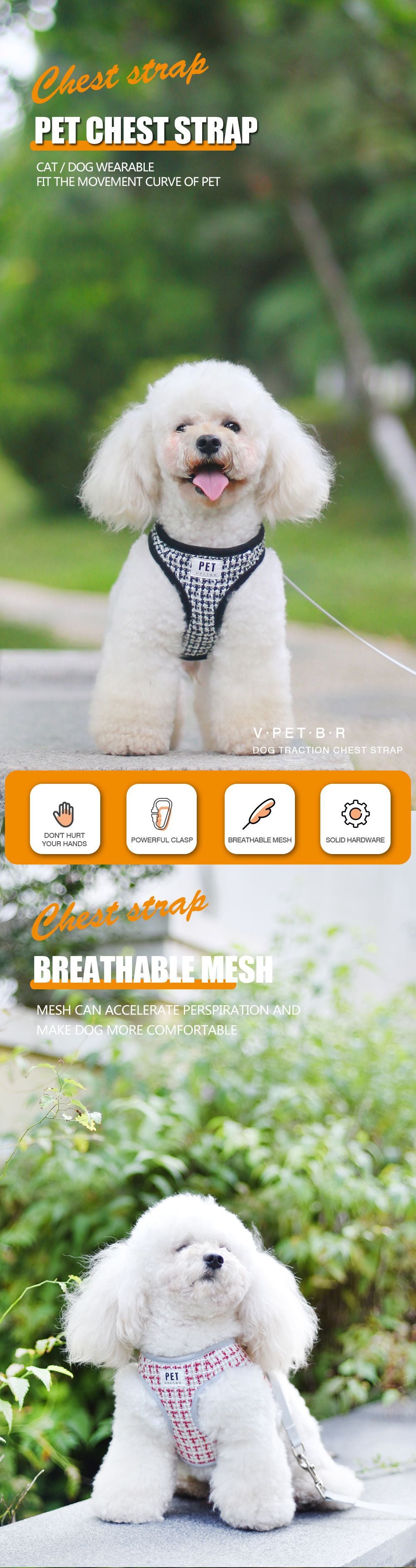 Pet Harness and Leash Set for Comfortable Daily Walks