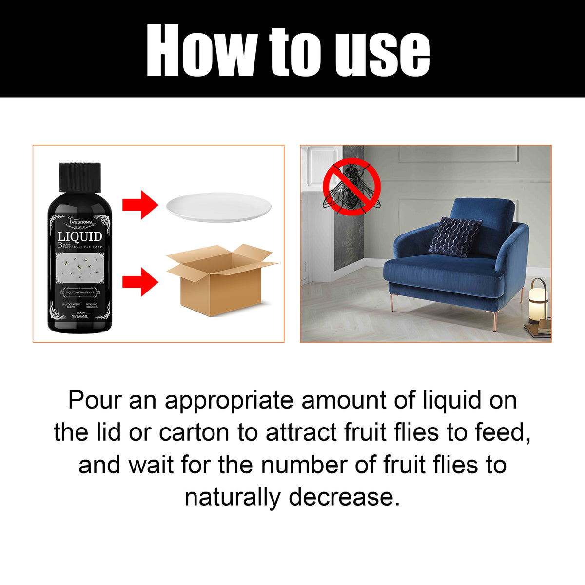 Fruit Fly Bait Liquid Attractant for Indoor Kitchens