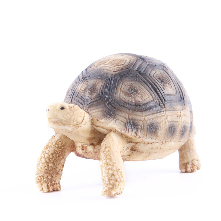 Realistic Resin Turtle Tank Ornament for Aquariums