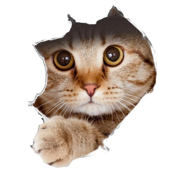 3D Cat Wall Sticker – Removable Trompe L'oeil Decal