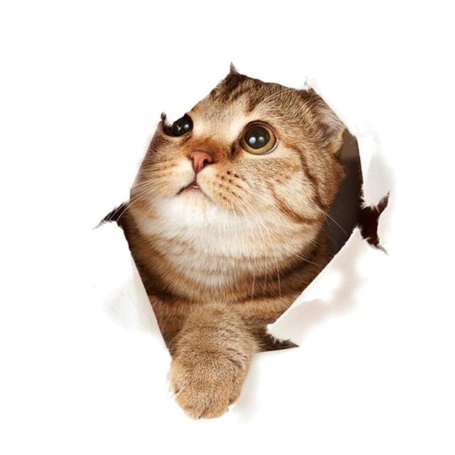 3D Cat Wall Sticker – Removable Trompe L'oeil Decal