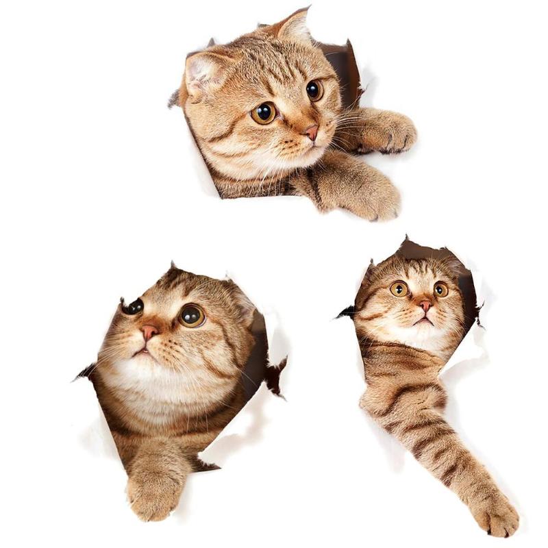 3D Cat Wall Sticker – Removable Trompe L'oeil Decal