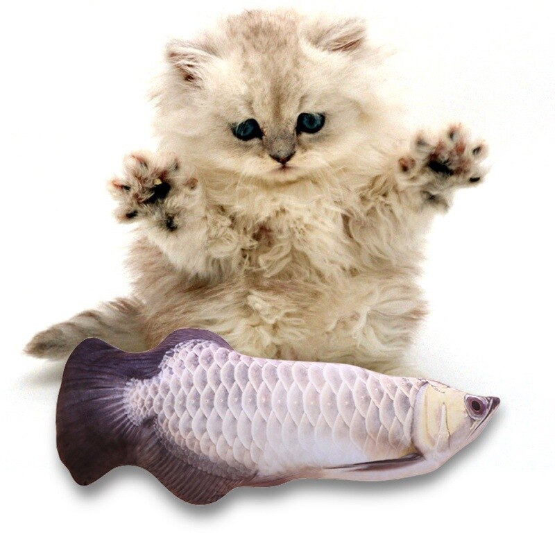 Interactive Fish Cat Toy for Indoor Play & Enrichment