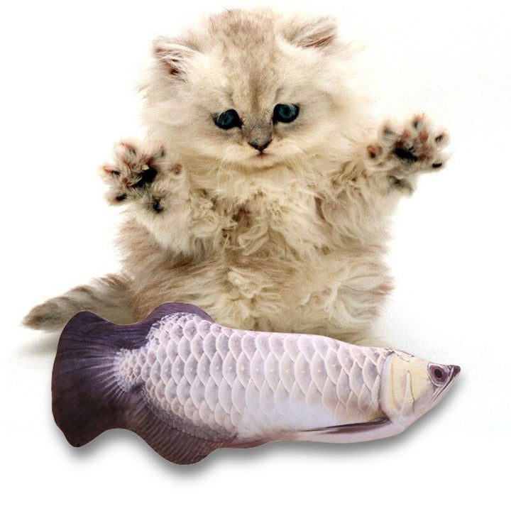 Interactive Fish Cat Toy for Indoor Play & Enrichment