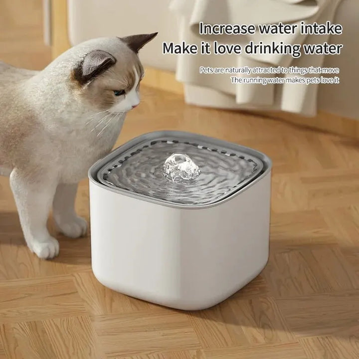 3L Pet Water Fountain for Quiet, Easy Daily Hydration