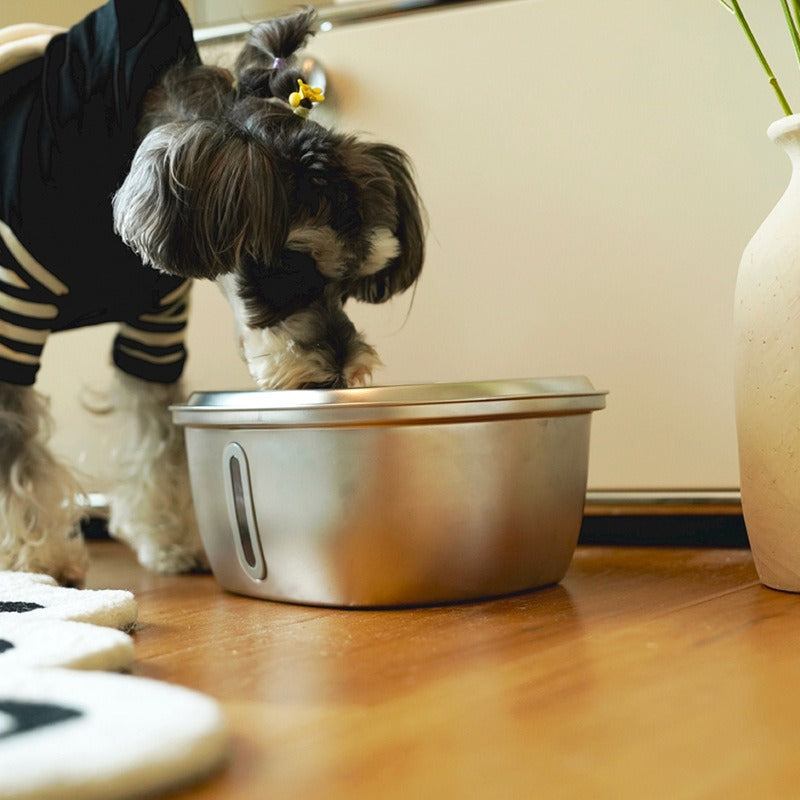 3L Stainless Steel Pet Water Fountain for Fresher Water