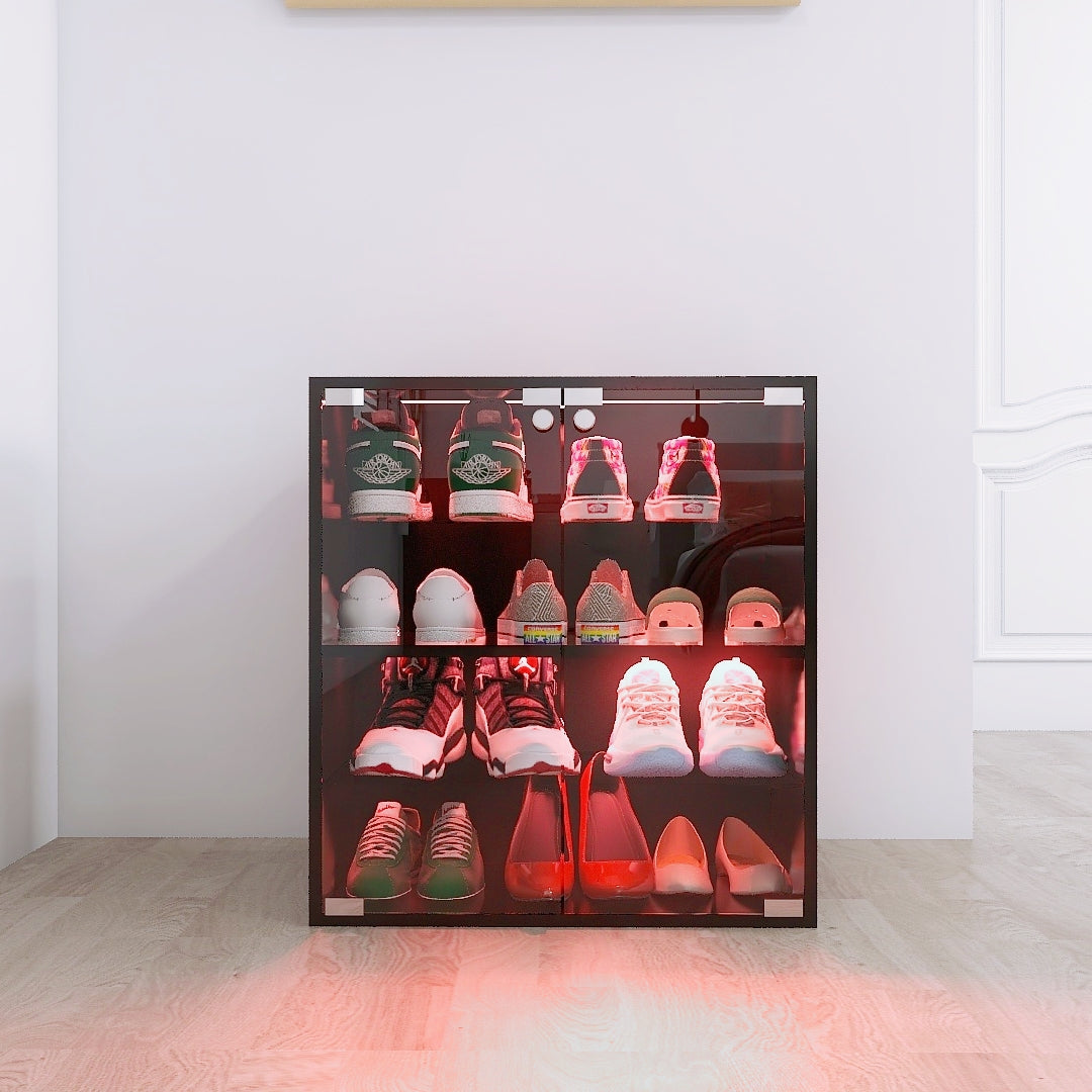 Black Glass Door Shoe Cabinet with LED Light, 4 Tiers