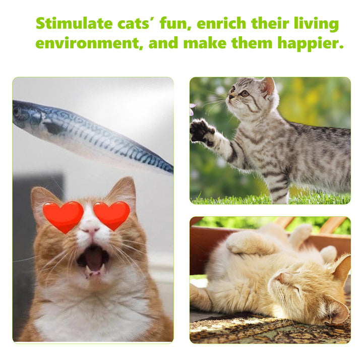 Catnip Spray for Indoor Cats: Happy Play Enrichment