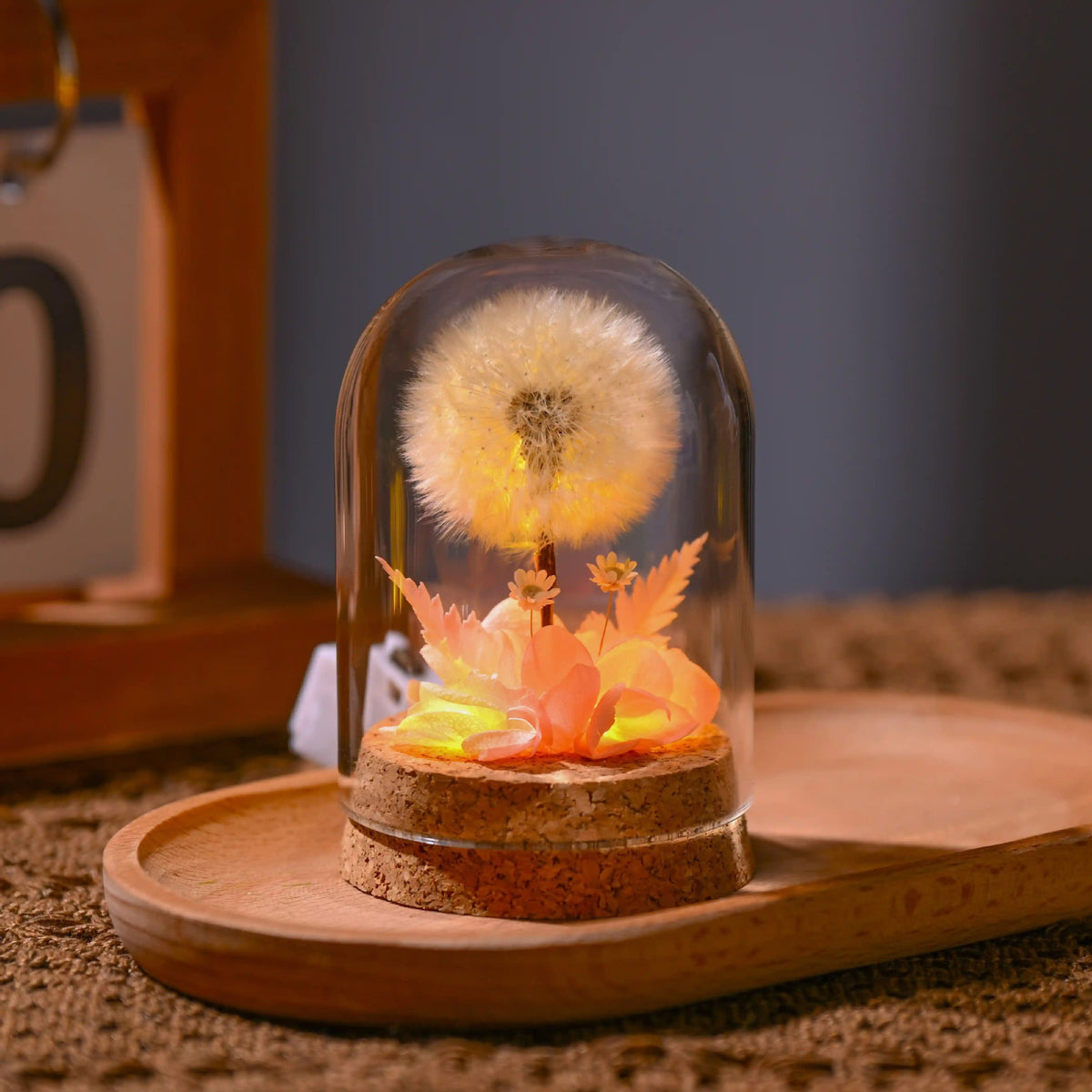 Decorative Flower Night Light With Warm Ambient Glow