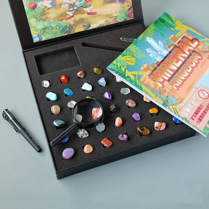43-Piece Natural Mineral Specimen Collection Display Box