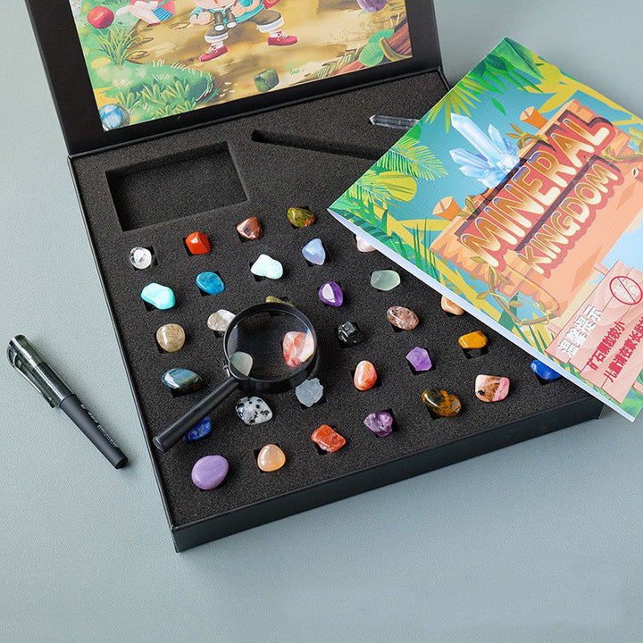 43-Piece Natural Mineral Specimen Collection Display Box