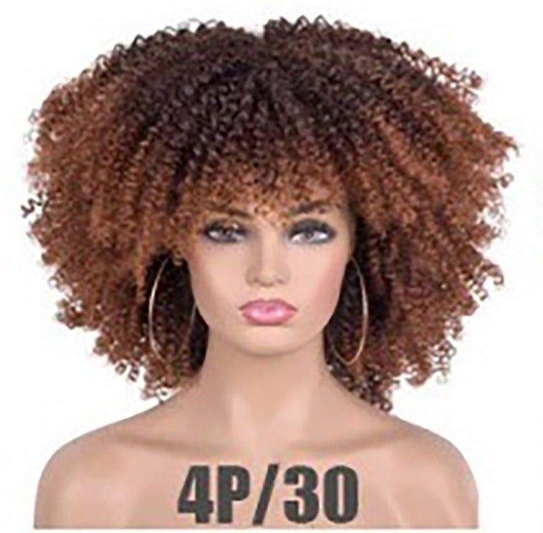 Small Curly Afro Wig for Instant Full-Volume Styling