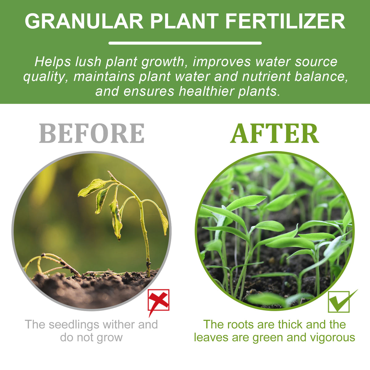 Granular Plant Fertilizer for Greener, Stronger Growth