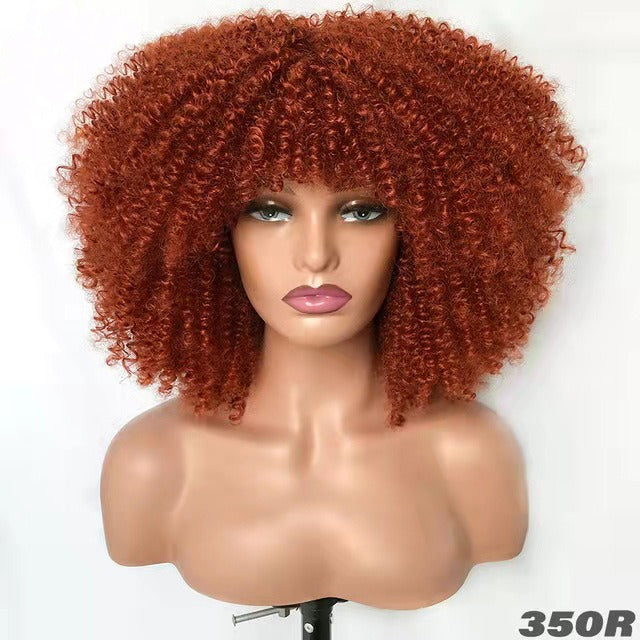 Small Curly Afro Wig for Instant Full-Volume Styling
