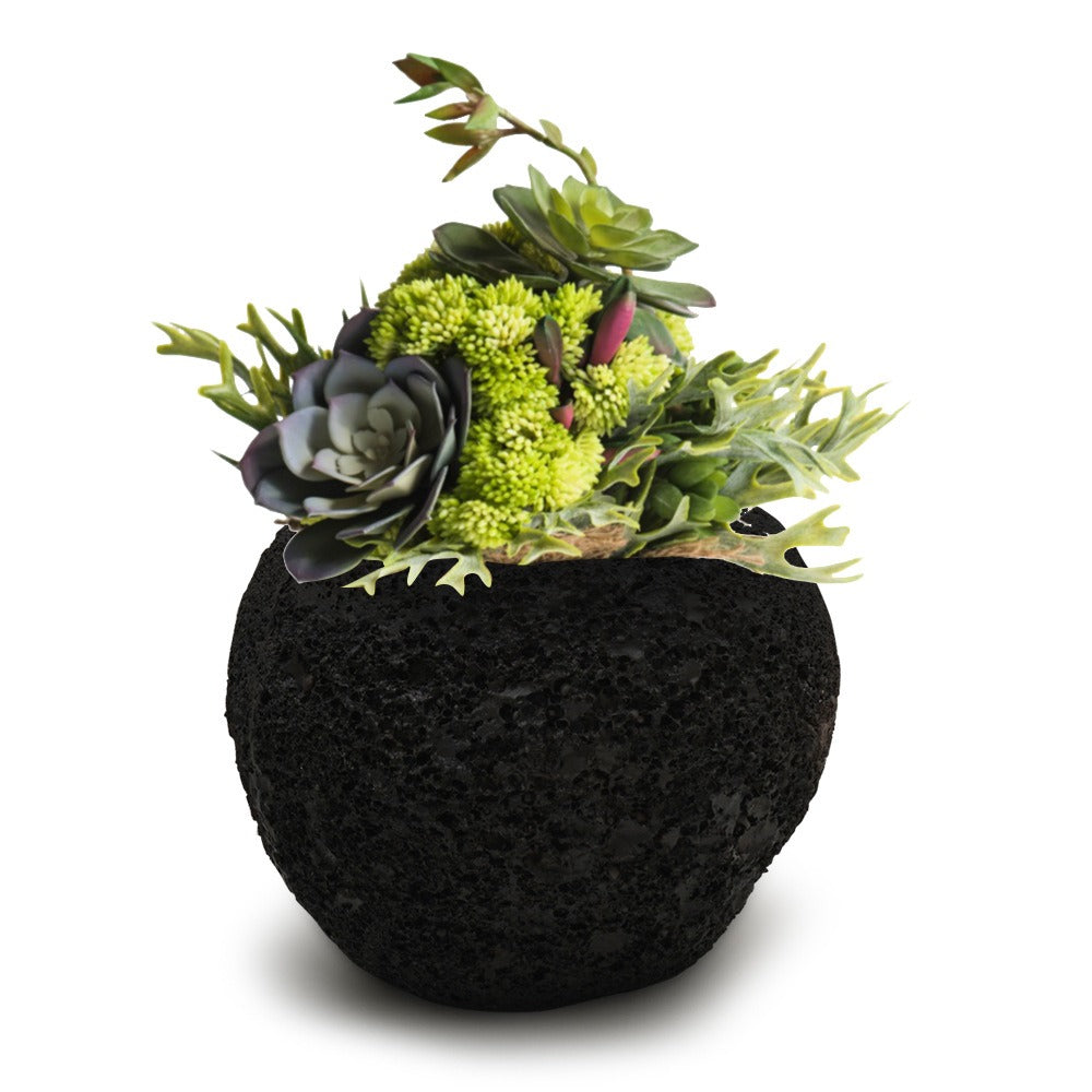 Volcanic Stone Planter Pot for Desk and Shelf Decor